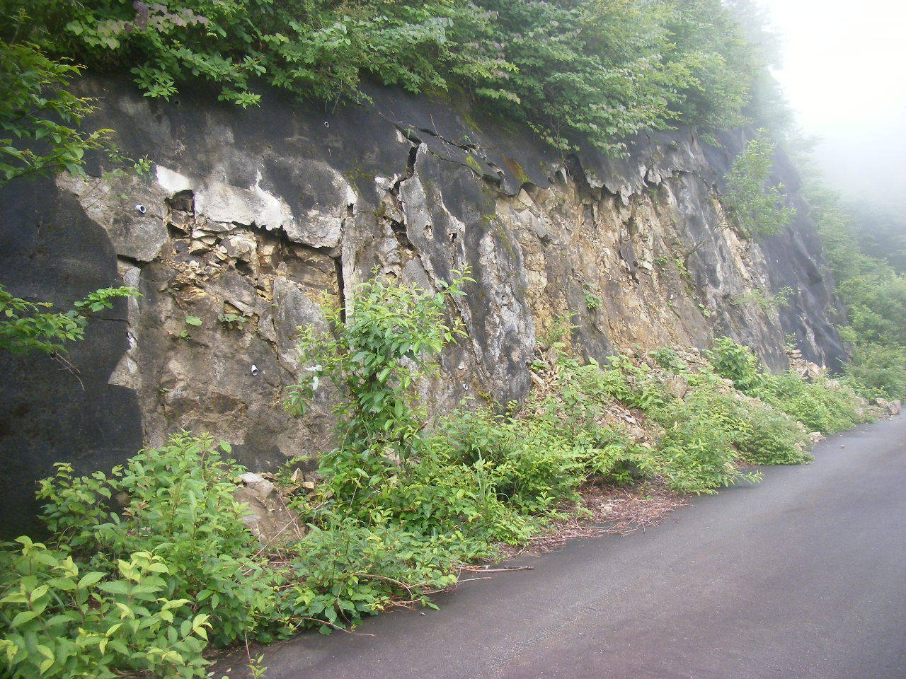 水口建設、中美濃林道棚村